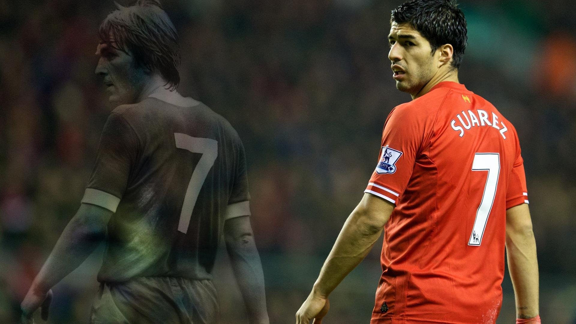 女子英格兰队或将主导未来十年，英格兰 女球迷